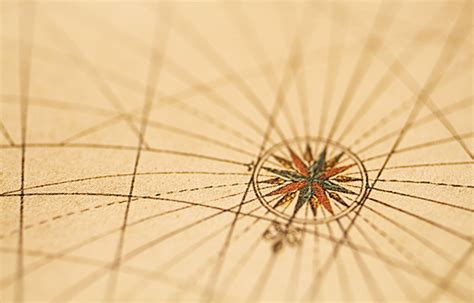 Mood Disorders Graph 的图像结果