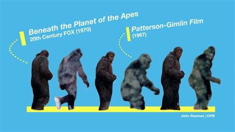 Bigfoot Wallpaper Patterson