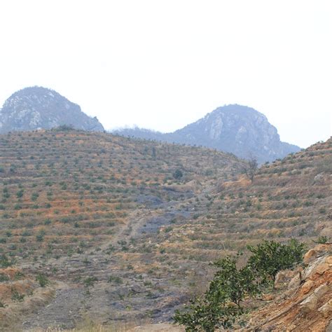 LONGWANG RIDGE (2025) All You Need to Know BEFORE You Go (with Photos ...