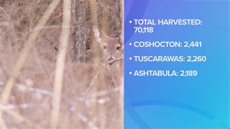 Ohio Deer Hunting Season 2022