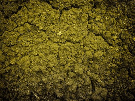 Earth Ground Examples 的图像结果