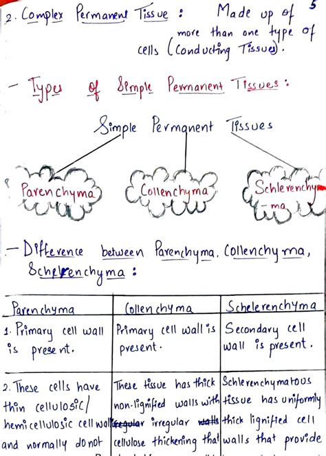 Tissue Chapter Class 9 的图像结果