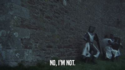 Image result for Monty Python No