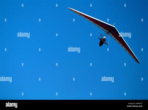 Glider 的图像结果