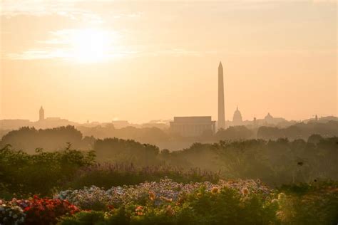 What Is the Capital of USA 的图像结果