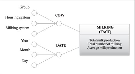 Image result for DFM Model
