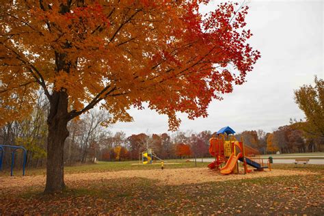 Shelby Township in Fall Photo Gallery | Shelby Township, MI