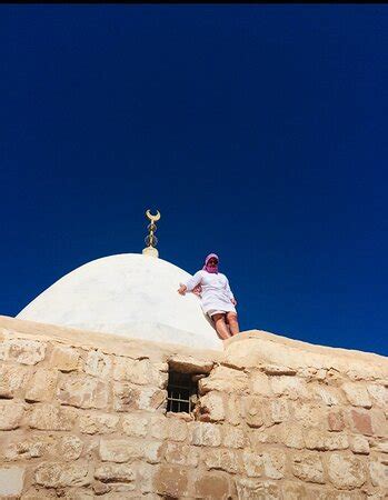 Jordan Petra Transportation - Petra - Wadi Musa | Tripadvisor