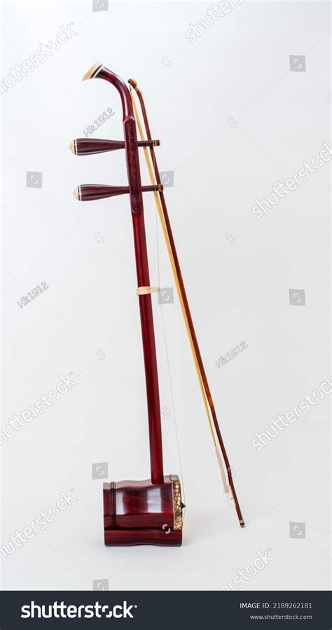 Image result for 2 Stringed Instrument