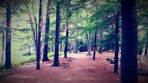 LUDINGTON STATE PARK - Campground Reviews & Photos - Tripadvisor