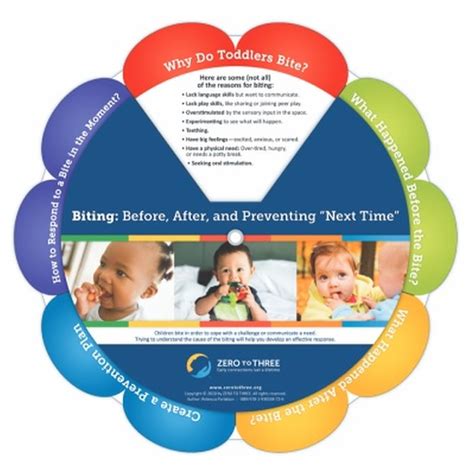 Buy Biting: Before, After, and Preventing "Next Time" Wheels Book ...