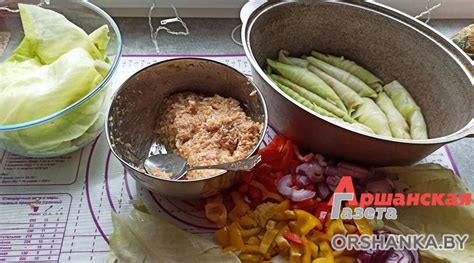 Голубцы, закрученные трубочкой — Новости Орши