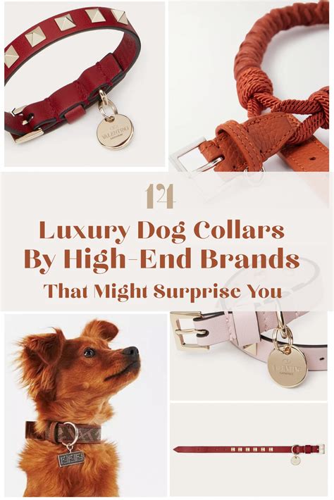 Top Dog Collars By High-End Brands