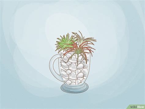 How to Display Air Plants On MDF 的图像结果