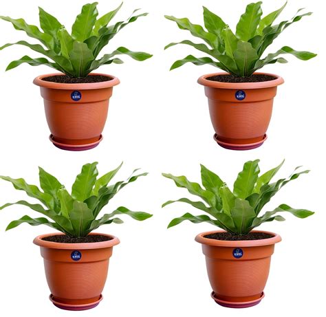 KWEL Round Elegance Pots for Plants Big with Free Tray Size 16'' Inch ...
