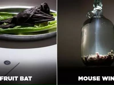 Raw Bull’s Penis, Maggot Cheese & More – Would You Dare Enter Sweden’s ...