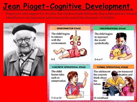 Cognitive Theory Piaget 的图像结果