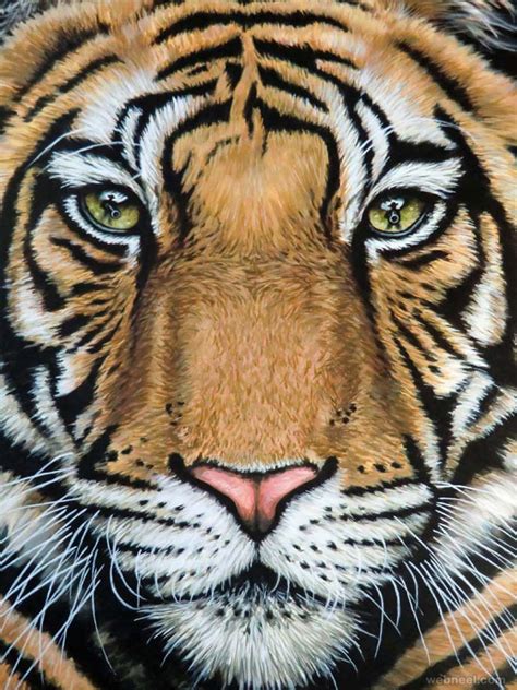 How To Draw Realistic Animal Drawings at Joel Stanbury blog