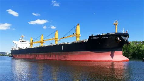OCEAN PERA, Bulk Carrier - Details and current position - IMO 9712955 ...
