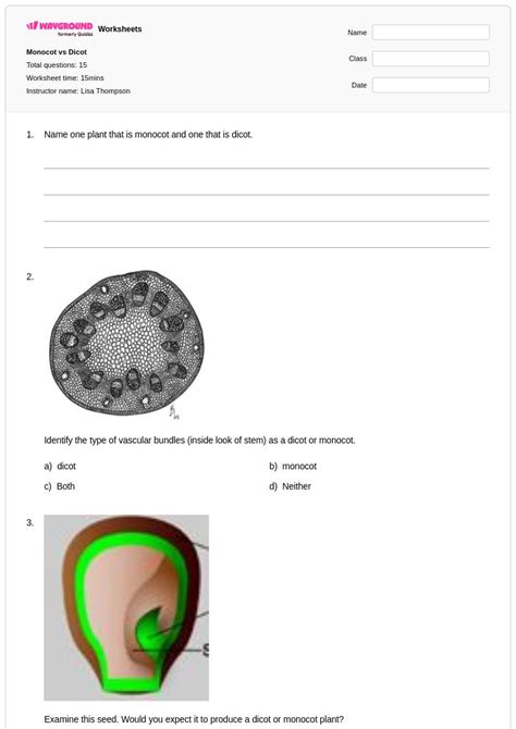 50+ Monocots and Dicots worksheets on Wayground | Free & Printable