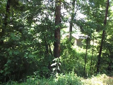 LULA COVERED BRIDGE (2025) All You Need to Know BEFORE You Go (with ...