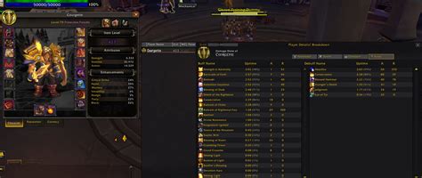 Image result for Prot Pally Guide