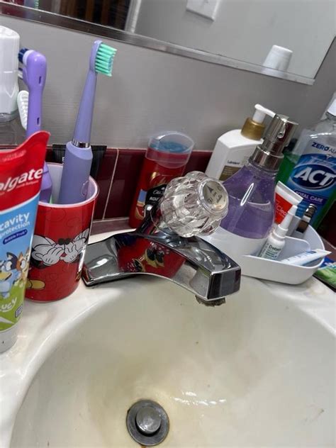 Clorox 16-fl oz Island Blossom Foam All-Purpose Cleaner 4460060371 at ...