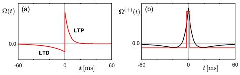Modeling of a Neural System Based on Statistical Mechanics