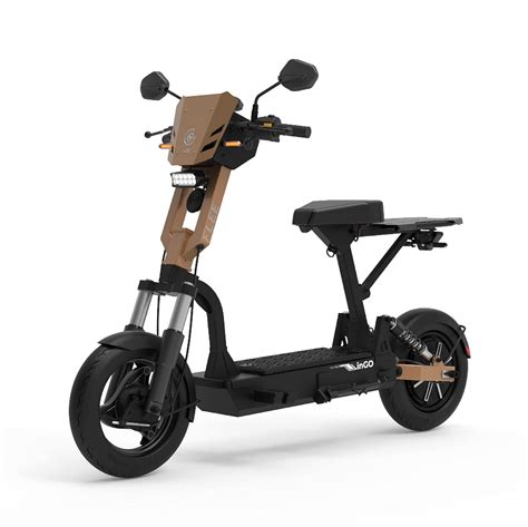 inGO FLEE Electric Bike/Scooty Two wheeler Premium-With Carrier ...