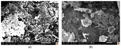 Micromachines | Special Issue : Micro and Nano Machining Processes