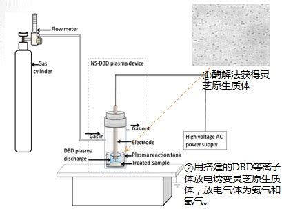 安徽省食用菌技术协会