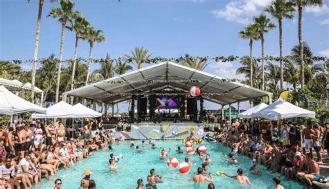 Image result for Miami Pool Party Fun