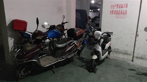Honda Z50 Collection | Bike-urious