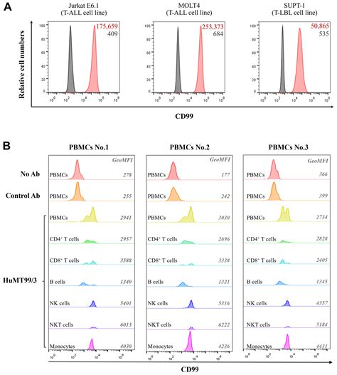 Exploring the Biological Activity of a Humanized Anti-CD99 ScFv and ...