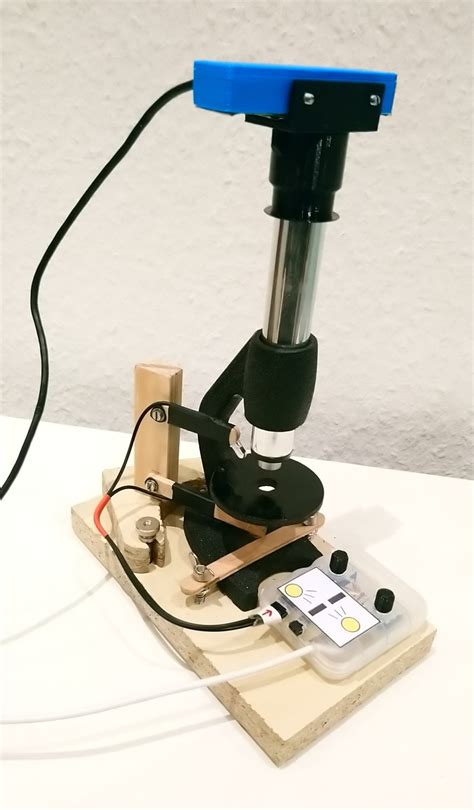 Image result for Using a USB Microscope to Study Mushrooms