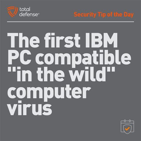 Evolution of Computer Viruses 的图像结果