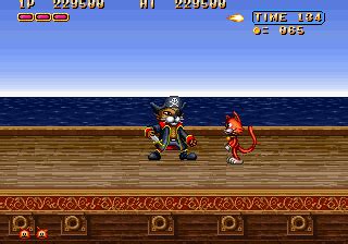 [mdk] Magical Cat Adventure (Japan) download for mame 0.288