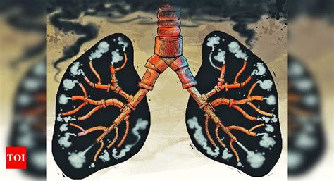 Air pollution levels in Vijayawada, Guntur alarming | Vijayawada News ...