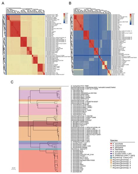 Genomic Characteristion of Opportunistic Pathogen Kluyvera Reveals a ...