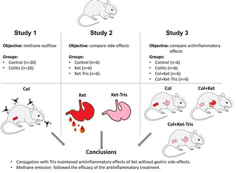 Conjugation with Tris Decreases the Risk of Ketoprofen-Induced Mucosal ...