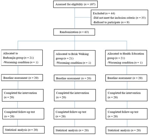 Efficacy of Baduanjin Versus Brisk Walking on Cognitive and Physical ...