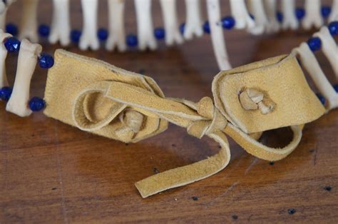 Vtg Native American Beaded Raccoon Penis Bone Choker Pendant Love ...