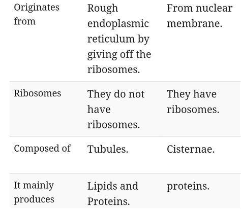 differentiate between rough and smooth endoplasmic reticulum on the ...