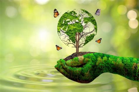 Ecology Examples 的图像结果