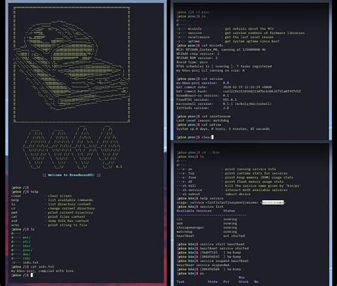Image result for Raspberry Pi Stock Linux Image