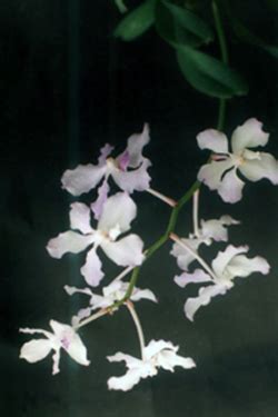 Envis Centre, Ministry of Environment & Forest, Govt. of India