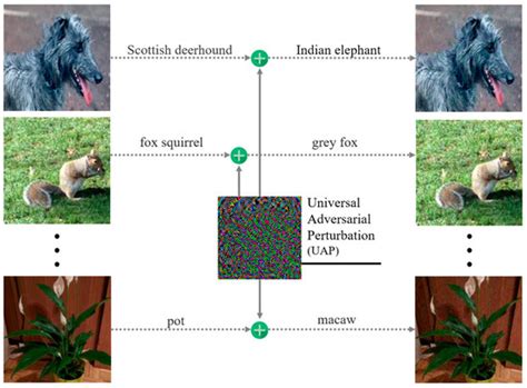 TwinNet: A Double Sub-Network Framework for Detecting Universal ...
