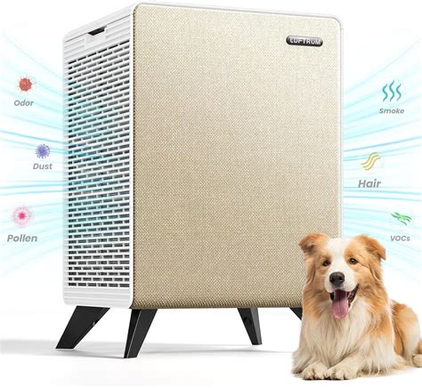 Amazon.com: LUFTRUM Air Purifiers for Home Large Room Up to 2250 ft² ...