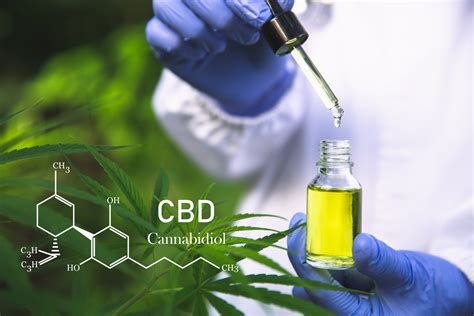 Image result for CBD Extraction Methods