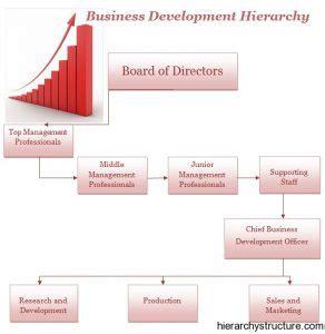 Business Development Hierarchy Structure 的图像结果